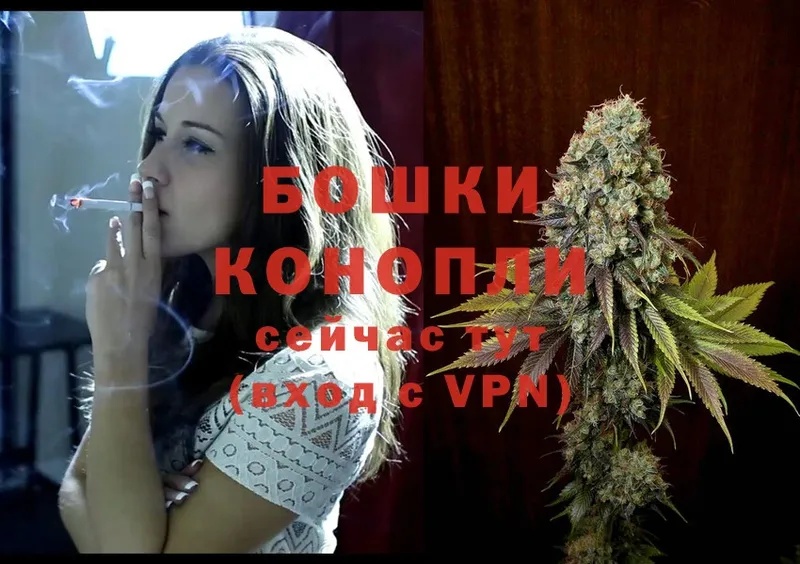 Конопля OG Kush  Рязань 